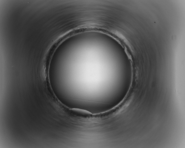 X0000089900973200707121846