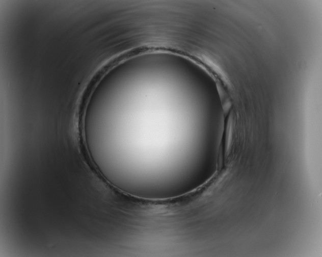 X0000089900976200707121846