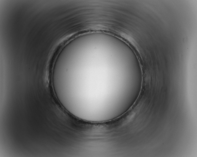 X0000089900979200707121846