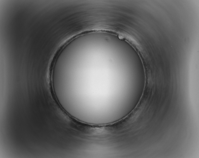 X0000089900990200707121846