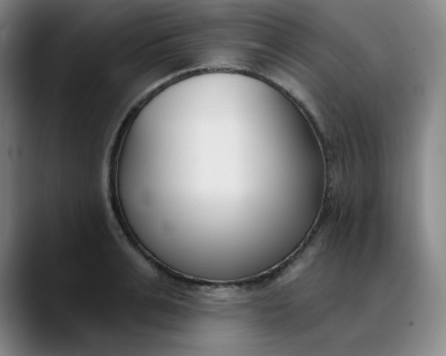 X0000089900991200707121846
