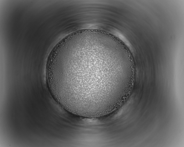 X0000089900994200707121846