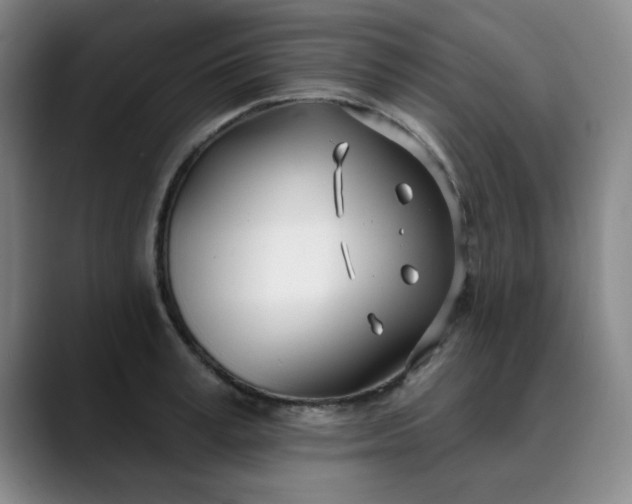 X0000089900995200707121846