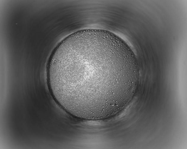 X0000089900998200707121846