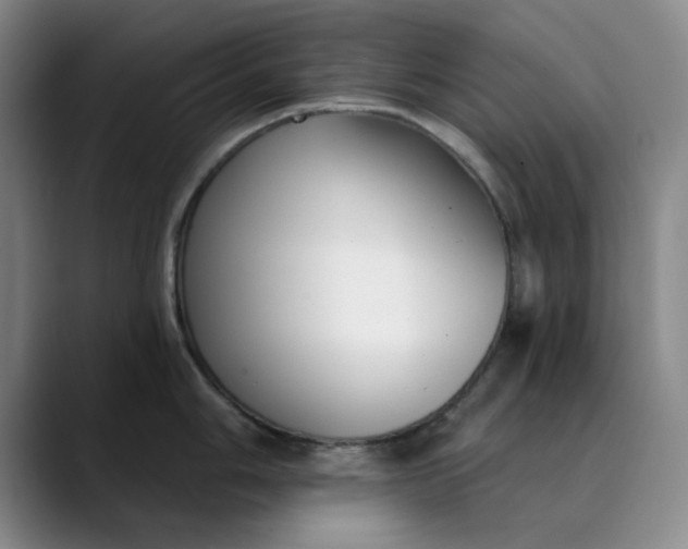 X0000089901006200707121846