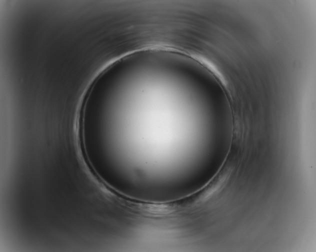 X0000089901007200707121846