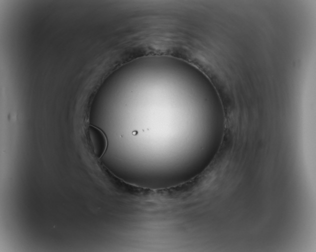 X0000089901009200707121845