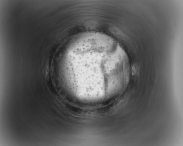X0000089901011200707121845