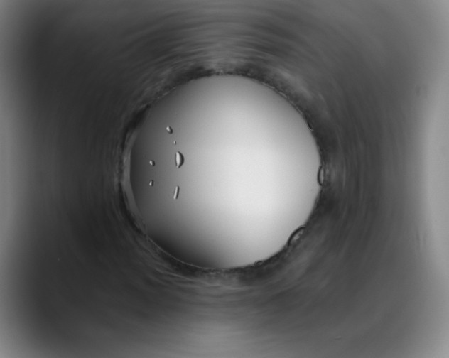 X0000089901012200707121845