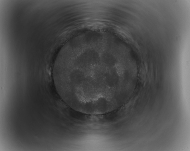 X0000089901013200707121845