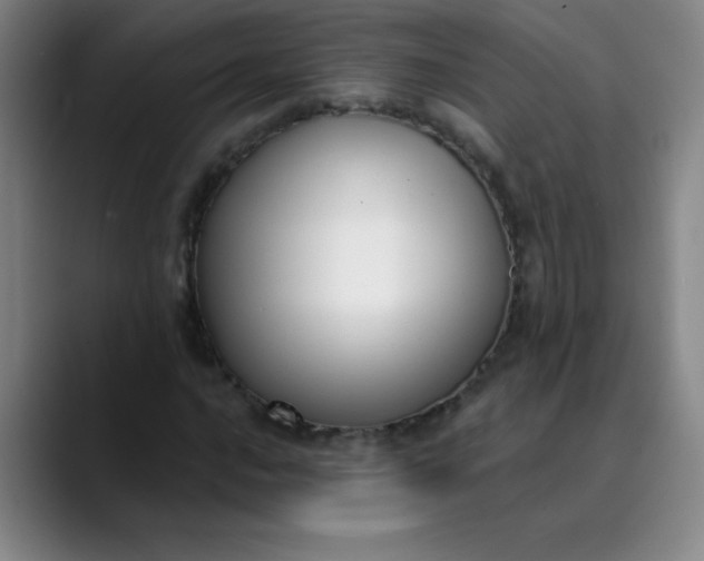 X0000089901016200707121845