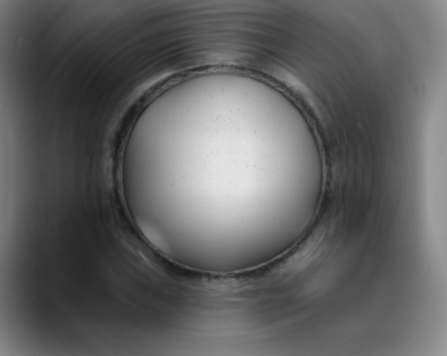 X0000089901019200707121845