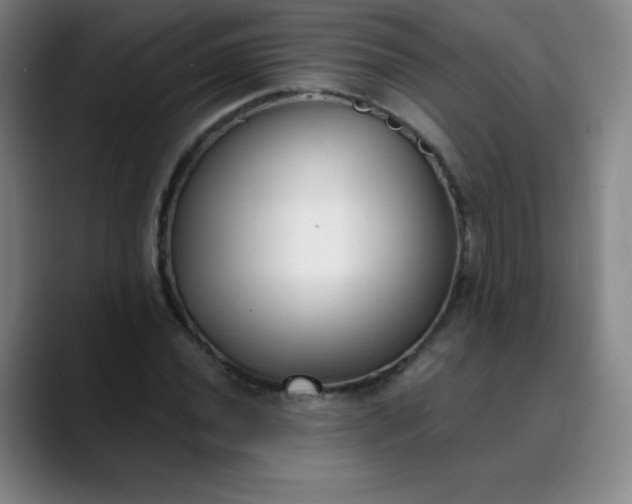 X0000089901020200707121845