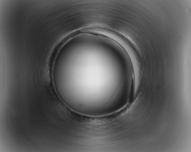 X0000089901022200707121845