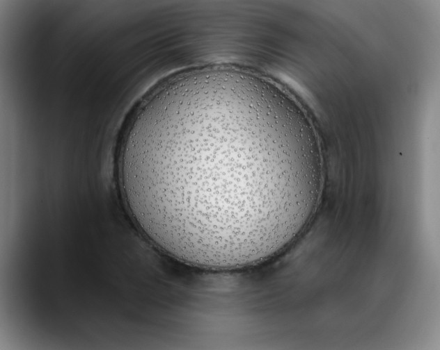 X0000089901023200707121845