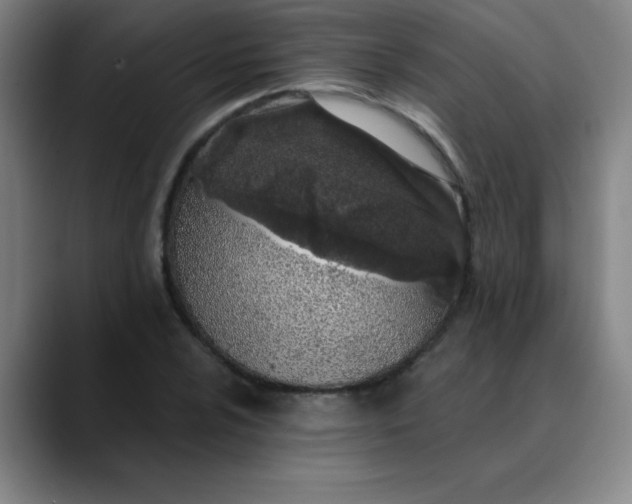 X0000089901024200707121845