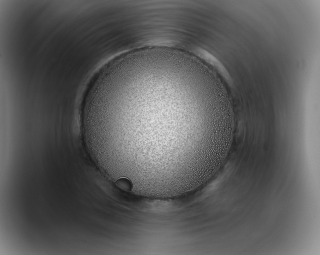 X0000089901027200707121846