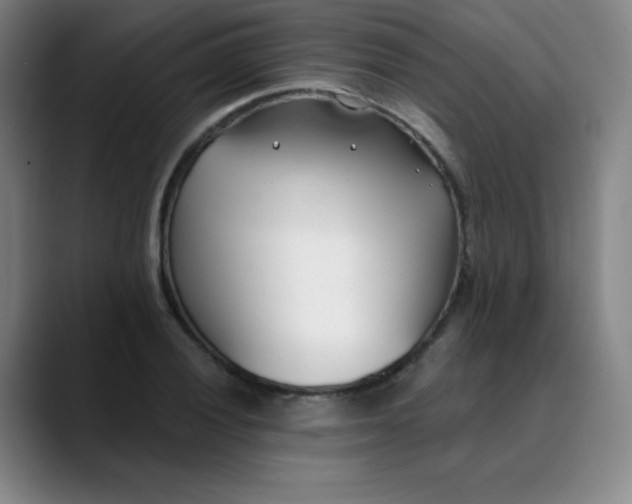 X0000089901028200707121846