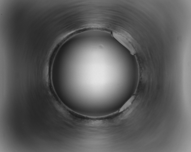 X0000089901030200707121846