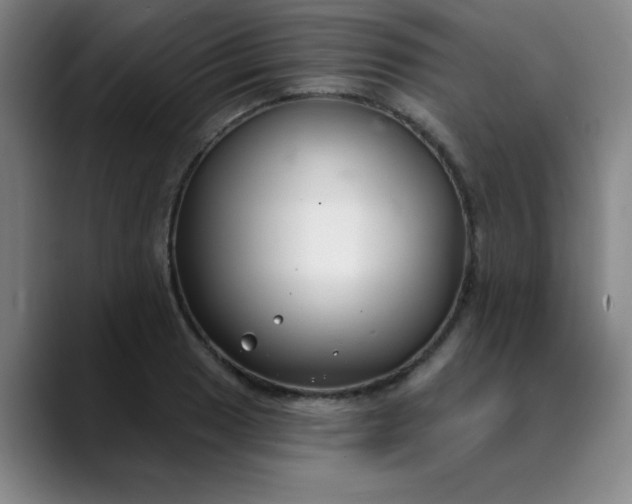 X0000089901033200707121846