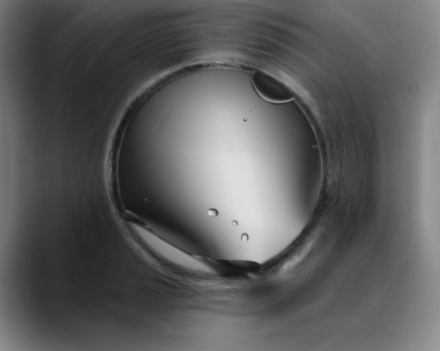 X0000089901037200707121846