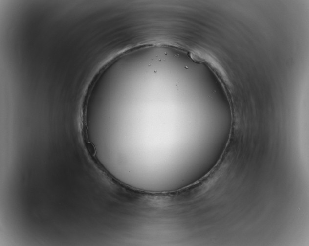 X0000089901040200707121846