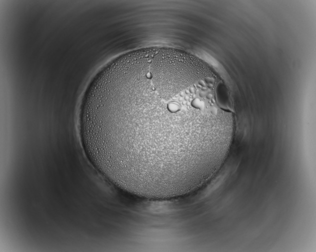 X0000089901043200707121846