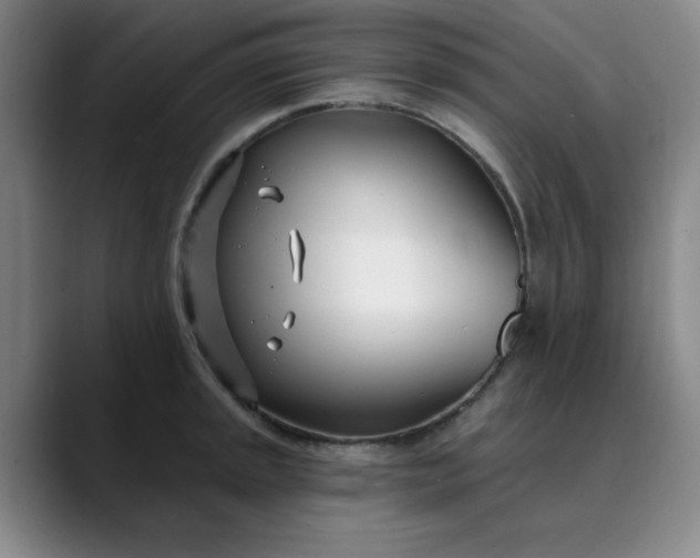 X0000089901045200707121846