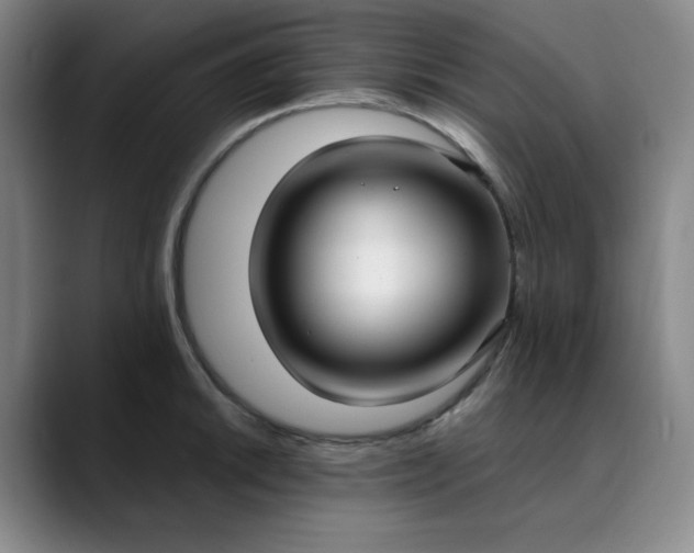X0000089901046200707121846