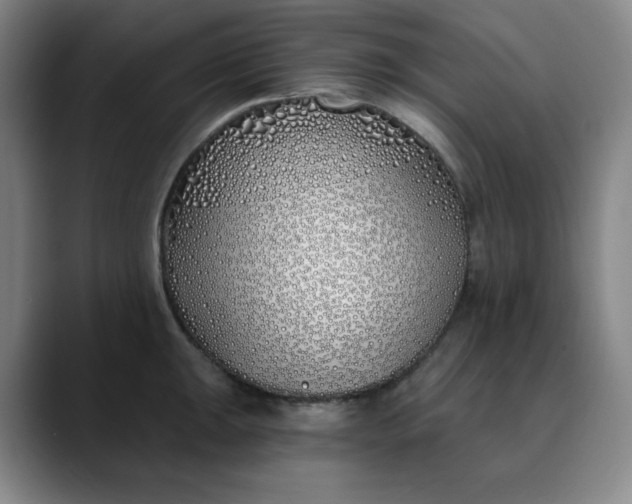 X0000089901047200707121846