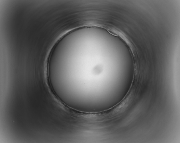 X0000089901048200707121846