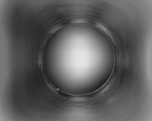 X0000089901049200707121846