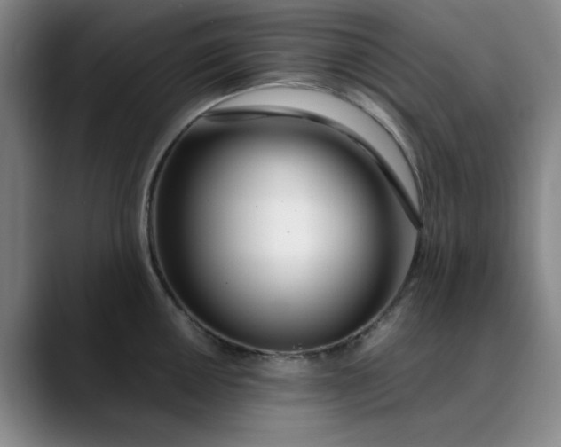 X0000089901050200707121846