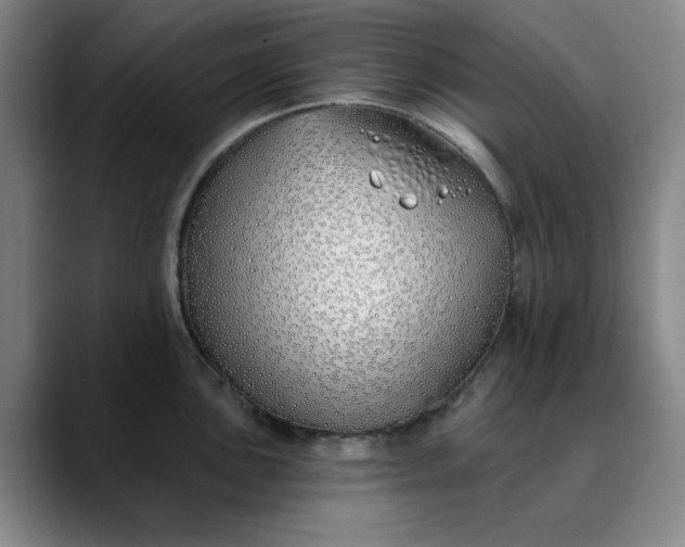 X0000089901051200707121846