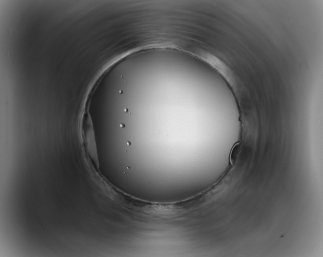 X0000089901052200707121846
