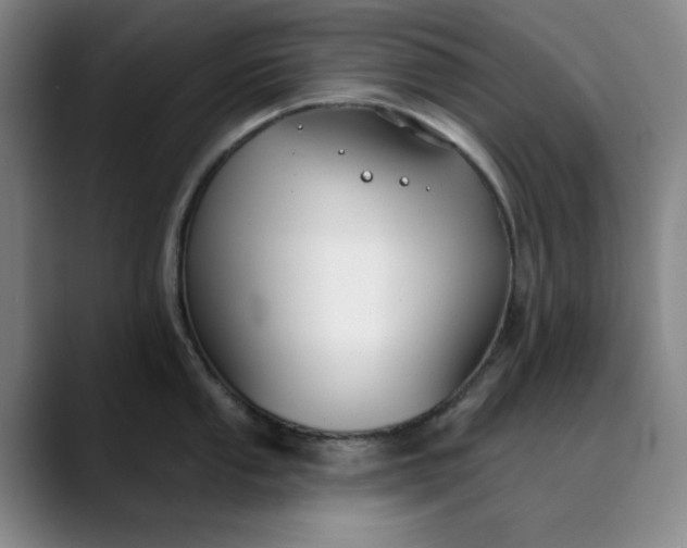 X0000089901053200707121846