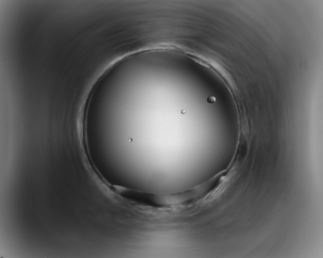 X0000089901054200707121846