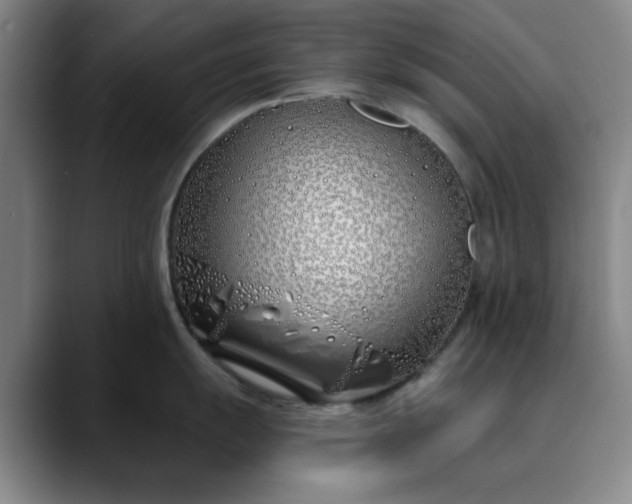 X0000089901055200707121846