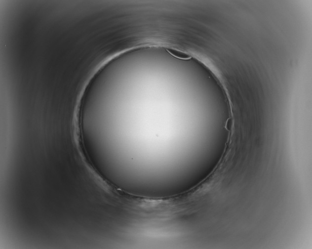 X0000089901056200707121846
