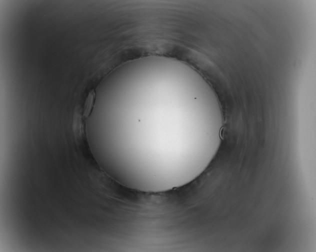 X0000089901058200707121845