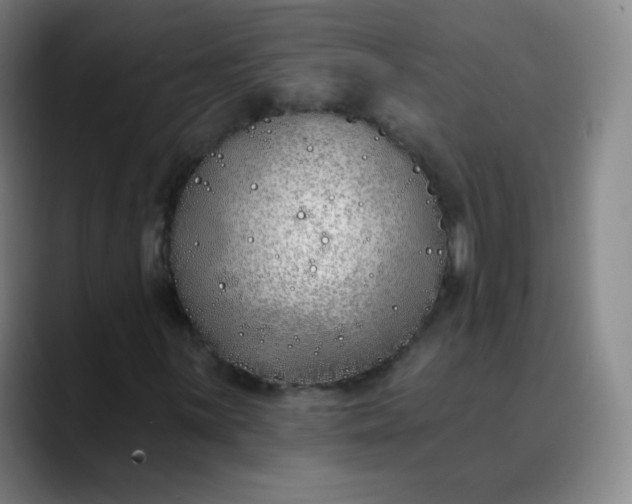 X0000089901059200707121845