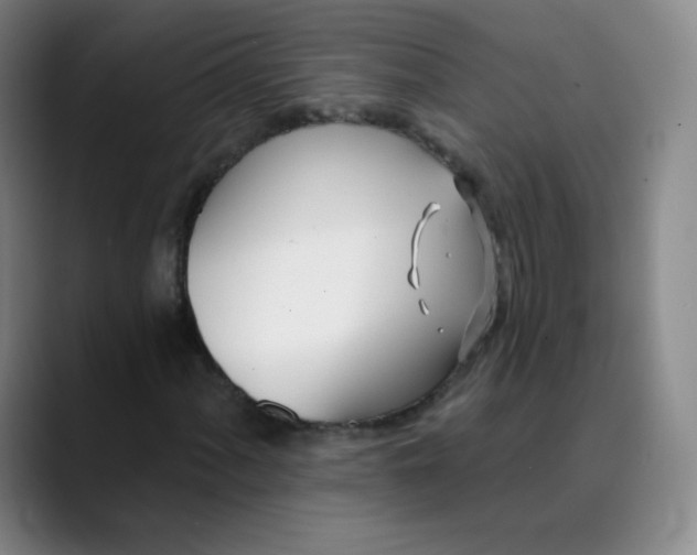 X0000089901060200707121845