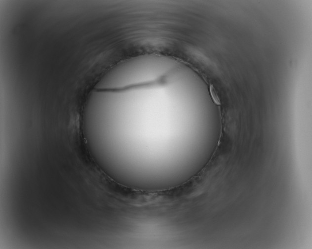 X0000089901061200707121845