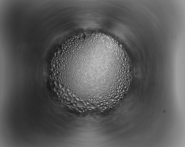 X0000089901063200707121845