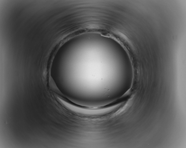 X0000089901065200707121845