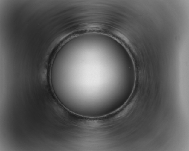 X0000089901066200707121845
