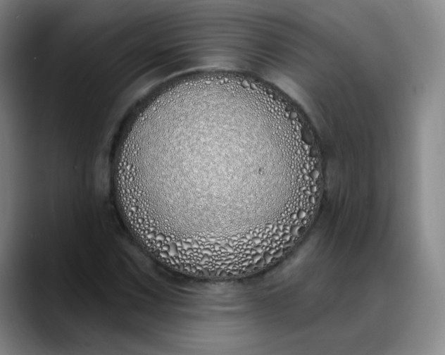 X0000089901067200707121845