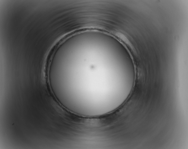X0000089901068200707121845