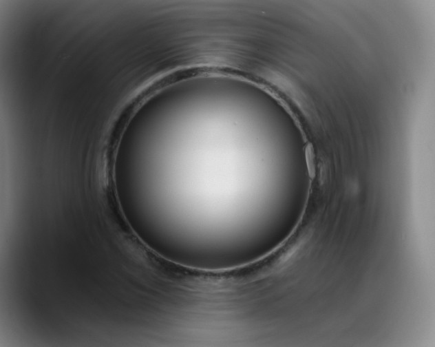 X0000089901069200707121845