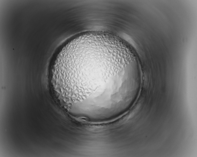 X0000089901071200707121845